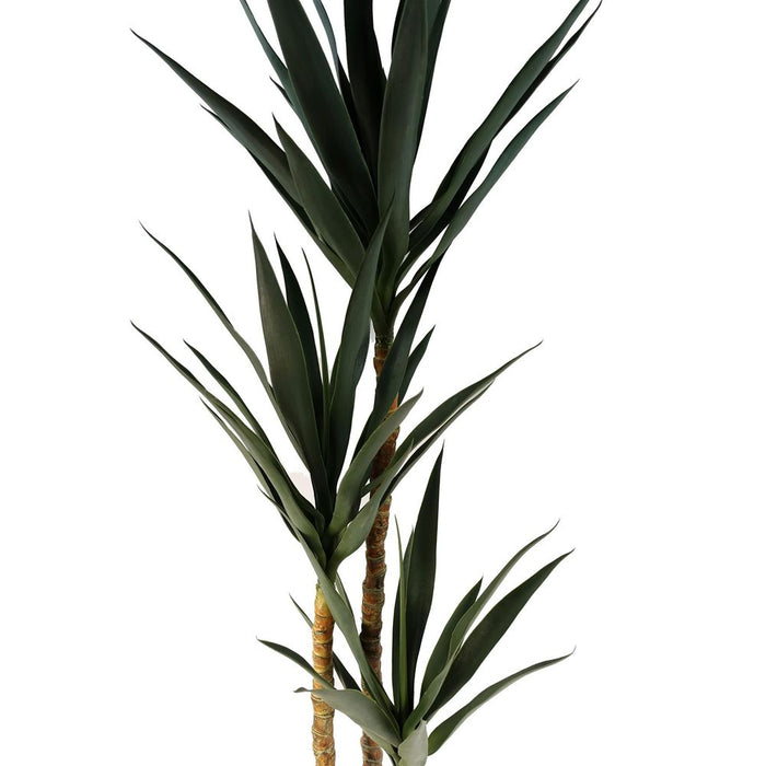 XL 170cm Artificial Triple Yukka Tree - High Quality Tropical Plant