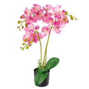 https://images.avasam.com/?url=https://avasamnew.s3.amazonaws.com/live/GB010188/S0671265882_12.webp&w=500