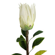 https://images.avasam.com/?url=https://avasamnew.s3.amazonaws.com/product/GB010188/S0671589514/1.png&w=500