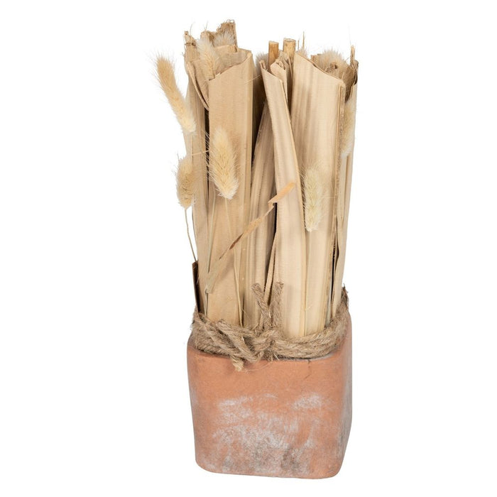 Dried Fox Tail Grass Bouquet in Terracotta Pot