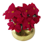 https://images.avasam.com/?url=https://avasamnew.s3.amazonaws.com/live/GB010188/S0671349174_0.jpg&w=500