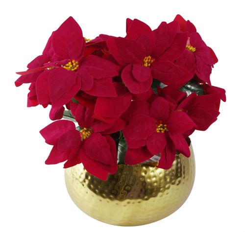 https://images.avasam.com/?url=https://avasamnew.s3.amazonaws.com/live/GB010188/S0671349174_0.jpg&w=500