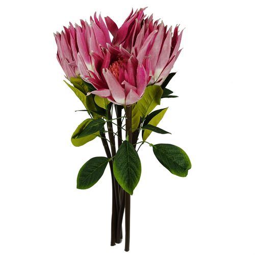 65cm Protea Sugarbush Flower Stem - Pink