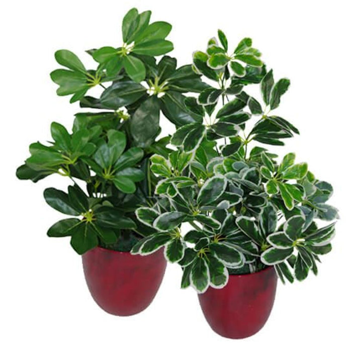 High-Quality 55cm Dark Green Artificial Schefflera Arboricola Plant