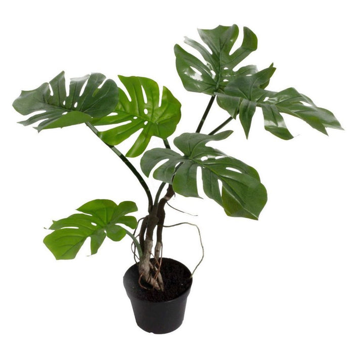 60cm Leaf Realistic Artificial Monstera Cheese Plant - High Quality, Botanically Accurate Foliage - Ready to Display - Leaf Design UK