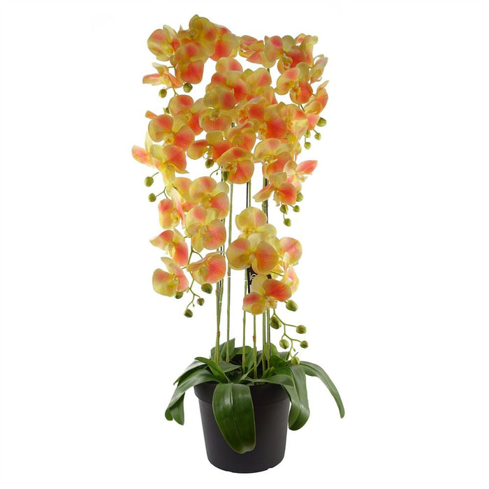 110cm Large Yellow Peach Orchid Plant - 41 REAL TOUCH Flowers