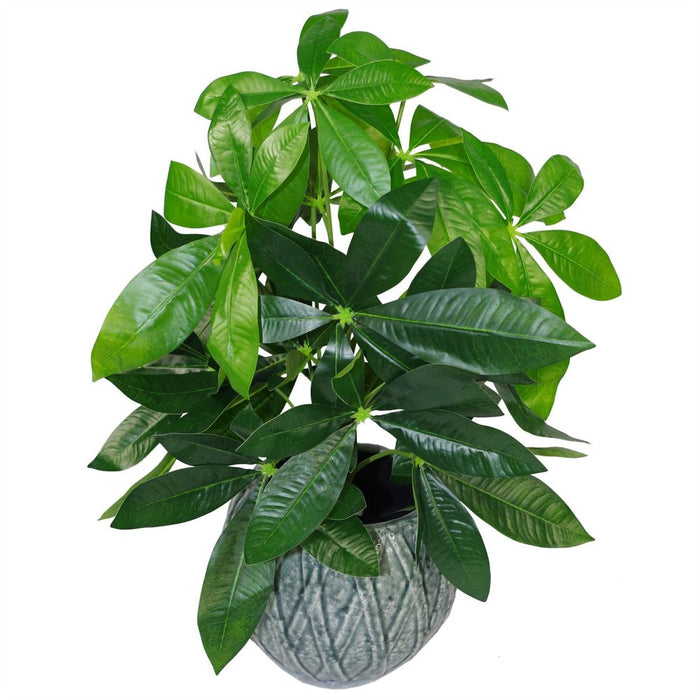 Premium 50cm Artificial Money Tree Plant - High Quality Leaf Design - Tropical Décor - Fast Shipping