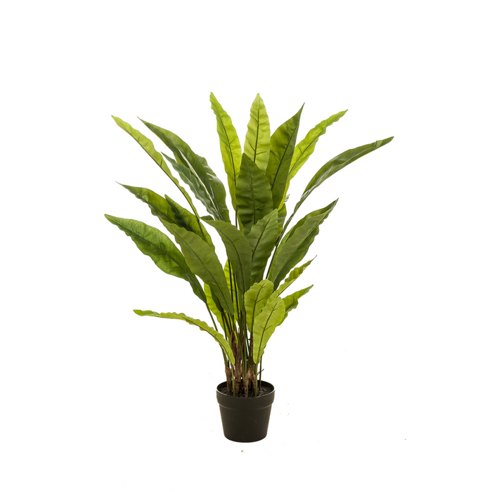 Realistic Asplenium Fern Potted Plant - Beautiful Green Décor - 90cm