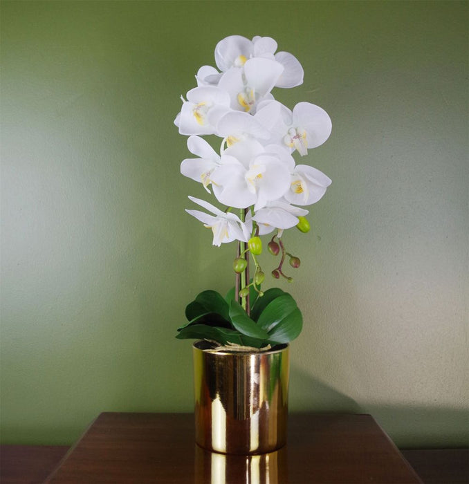 Realistic 52cm White & Gold Artificial Orchid - Lifelike Flowers - Decorative Pot - Professional Quality