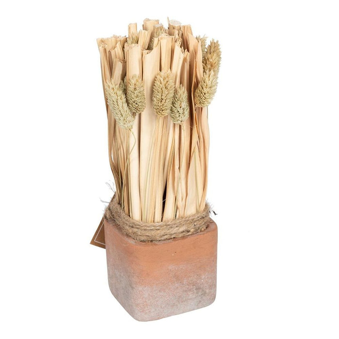 Natural Fluffy Dried Grass Bouquet - Rustic Terracotta Pot - Perfect for Home or Office - Top Quality