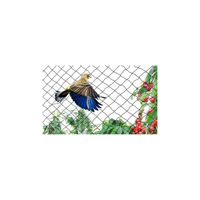 Anti Bird Garden Netting 2M X 10M - Plant Veg Crops Fruit Fine Mesh - Pond Net - Protects Plants from Birds - High Quality