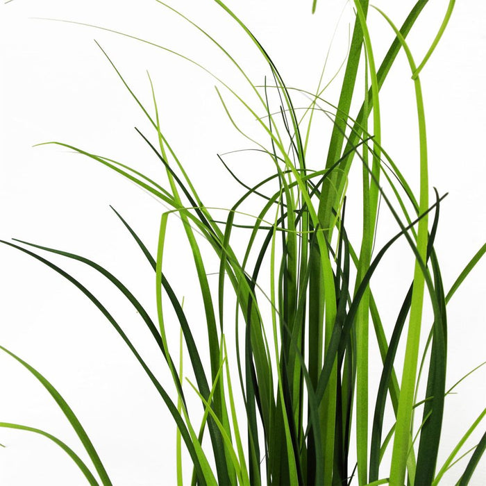 60cm Artificial Grass Plant Lemongrass