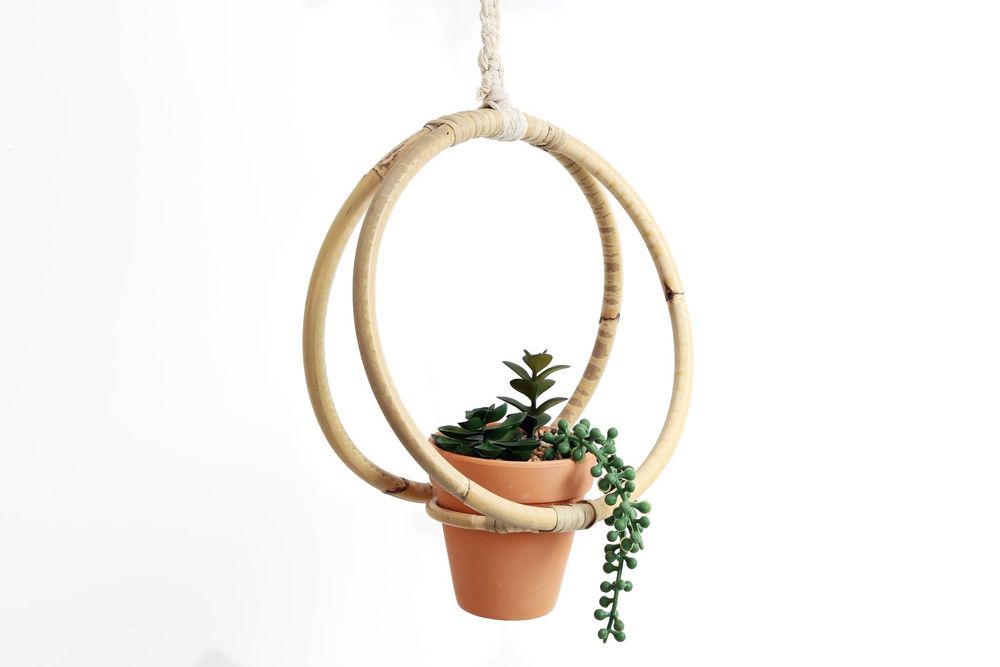 Premium Faux Succulent: Lifelike, Durable, Easy Care