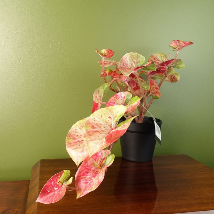 Premium Quality 30cm Artificial Pink Caladium Trailing Plant - Realistic Faux Plant for Home Decor