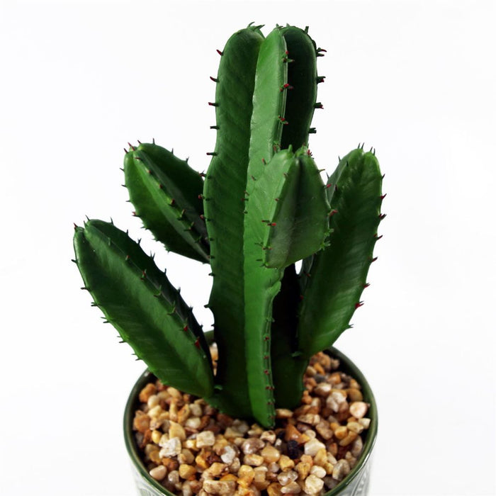 Premium 23cm Artificial Cactus w/ Green Ceramic Planter