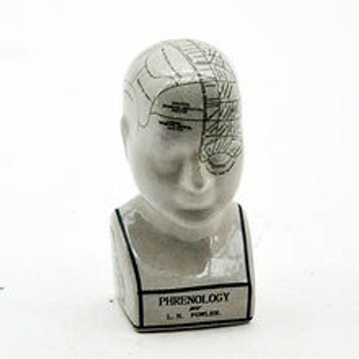 Premium Quality 8" Ceramic Phrenology Head - Authentic Reproduction for Educational Purposes