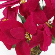 https://images.avasam.com/?url=https://avasamnew.s3.amazonaws.com/live/GB010188/S0671349170_12.webp&w=500