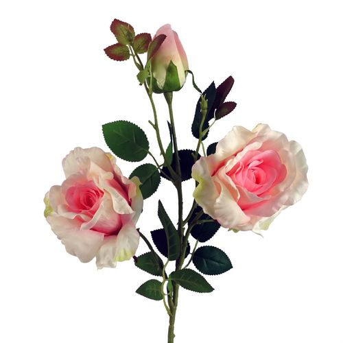 https://images.avasam.com/?url=https://avasamnew.s3.amazonaws.com/product/GB010188/S0671589109/main.png&w=500