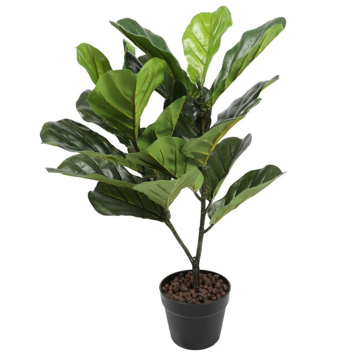 Realistic Artificial Fiddle Leaf Fig Tree - Vibrant Green - 2.5ft / 75cm