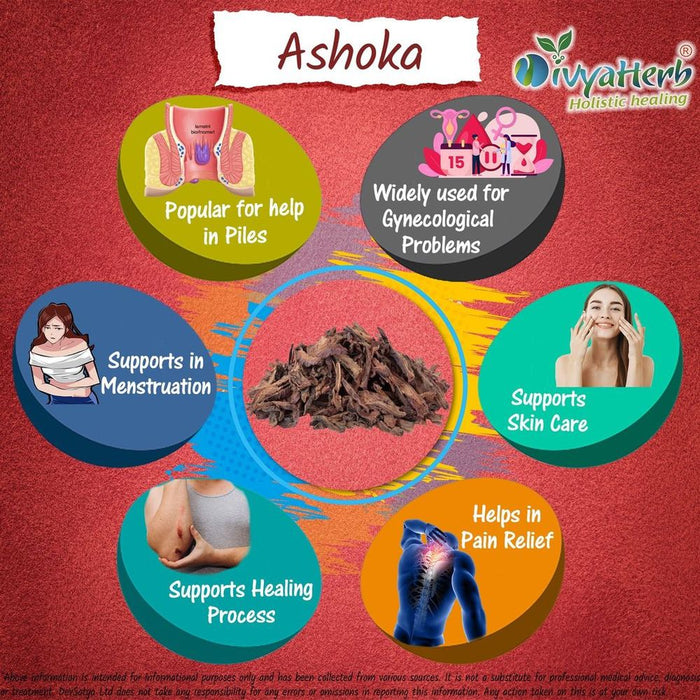 Premium Ashoka Bark Powder - Enhance Health & Wellbeing