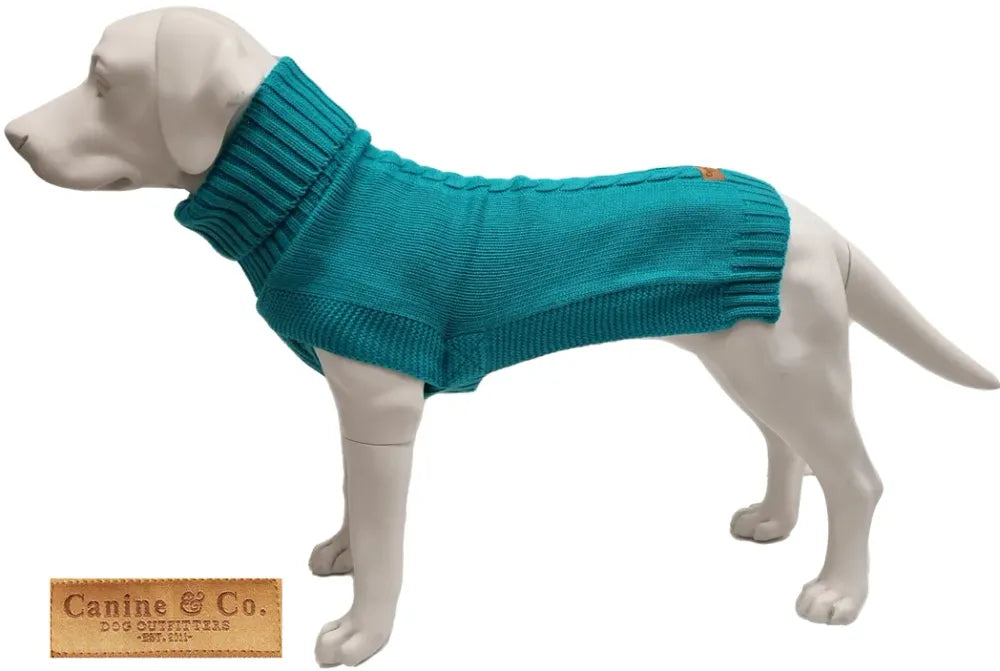 The Jazz Dog Jumper in Peacock Blue