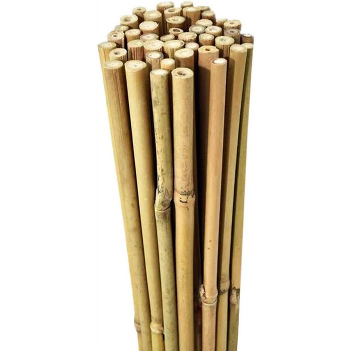 Premium 5FT Bamboo Canes - Pack of 10