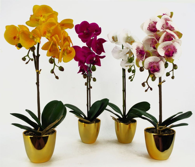 Premium 48cm Golden Orchid - Real Touch Yellow Flowers with Gold Pot