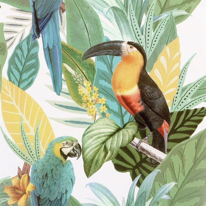 Tropical Paradise Toucan Jungle Multi sw12: High-Quality, Expertly Crafted for All Ages!