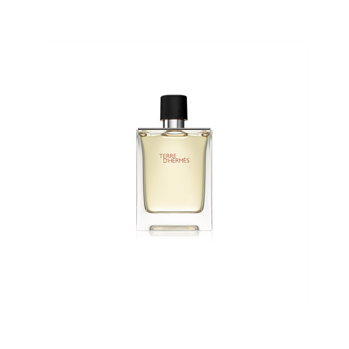 Hermes Terre D'hermes Eau De Toilette Spray 100ml