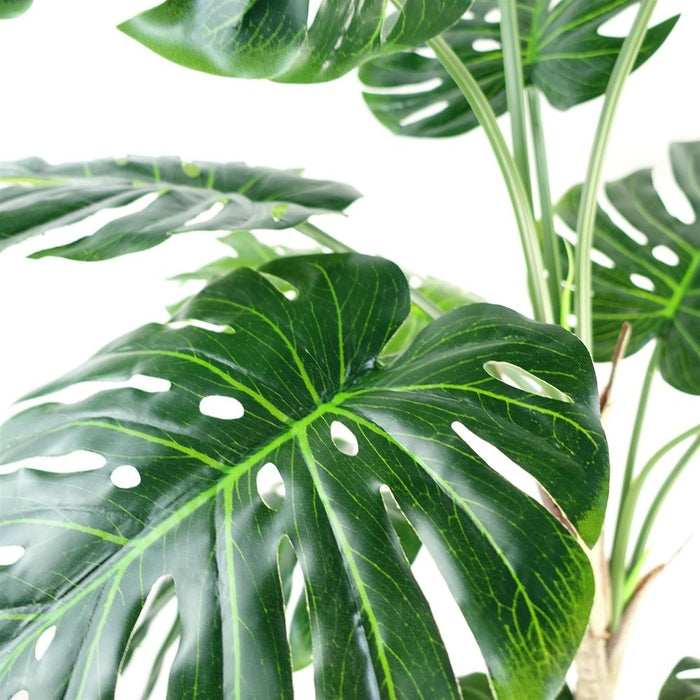 150cm Luxury Monstera Plant - Realistic, Black Pot