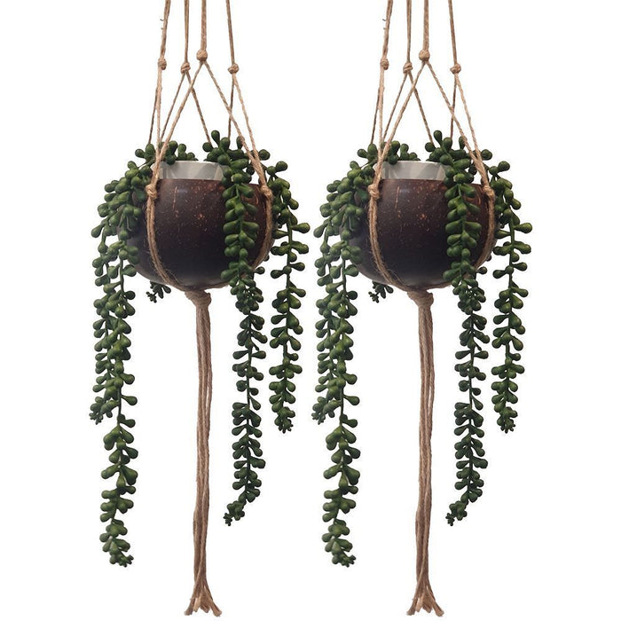 Boho Chic Coconut Shell Plant Holders - Set of 2, Macrame Hanging Ropes - Eco-Friendly, Durable