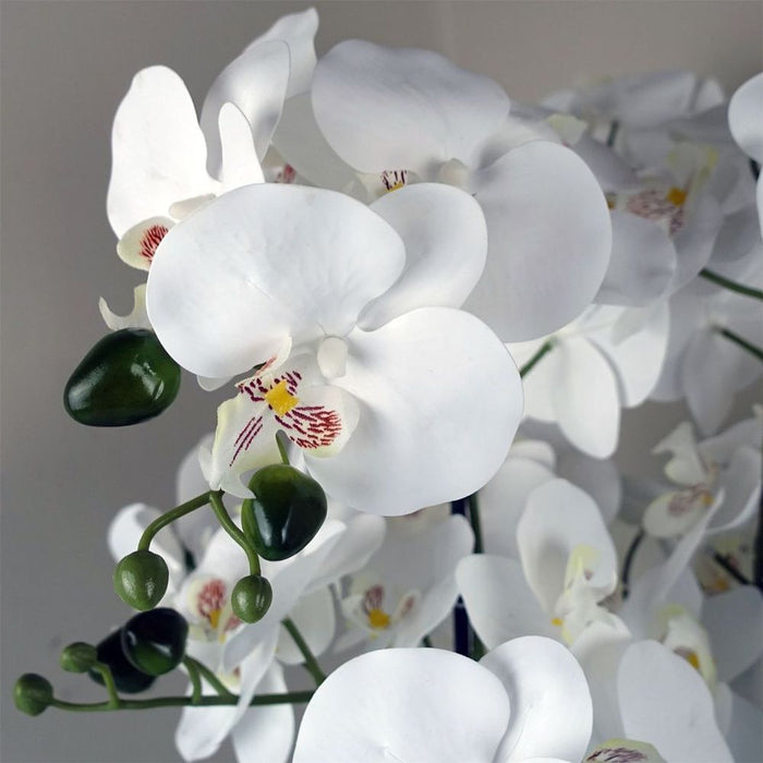 50cm Artificial Orchid with Glass Planter White