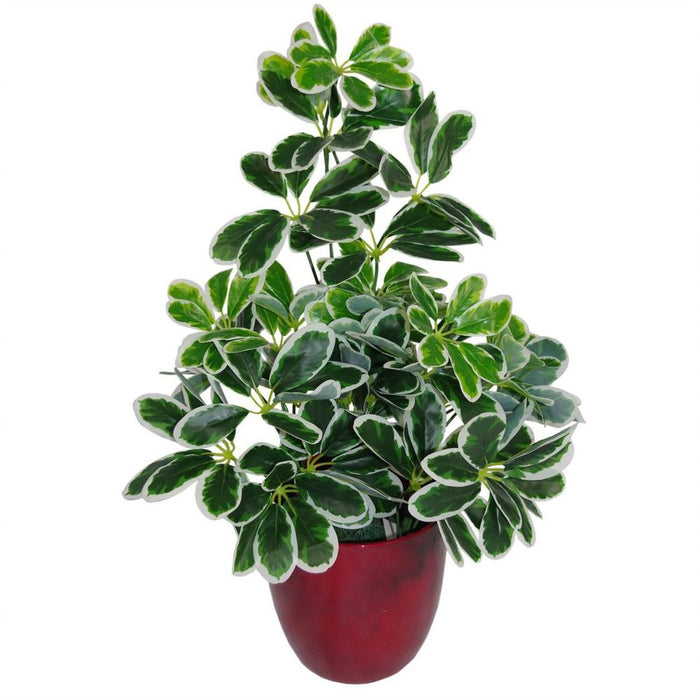 Premium 55cm Variegated Artificial Umbrella Plant - Lifelike Foliage for Luxurious Spaces