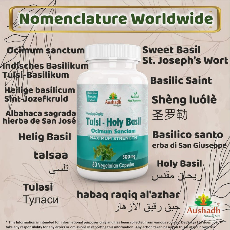 Holy Basil (Tulsi) Capsule - High-Quality Herbal Supplement for All Your Wellness Needs!