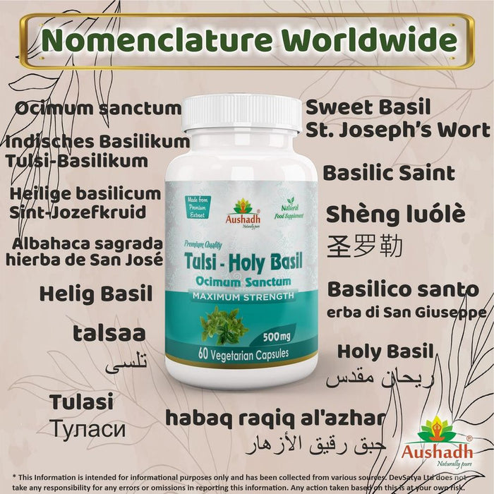 Holy Basil (Tulsi) Capsule - High-Quality Herbal Supplement for All Your Wellness Needs!