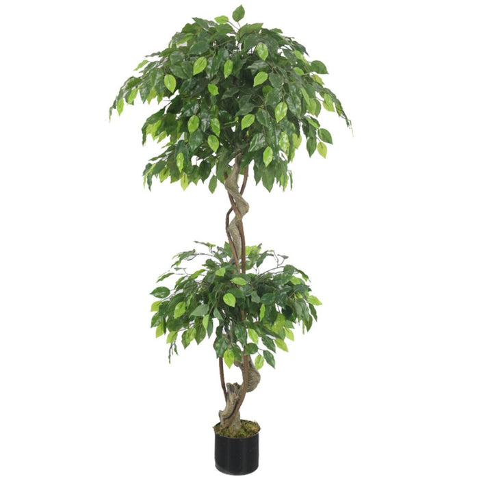 Premium 150cm Artificial Twisted Ficus Tree