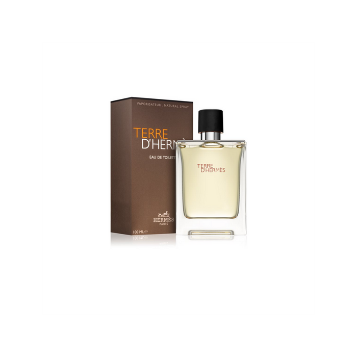 Hermes Terre D'hermes Eau De Toilette Spray 100ml