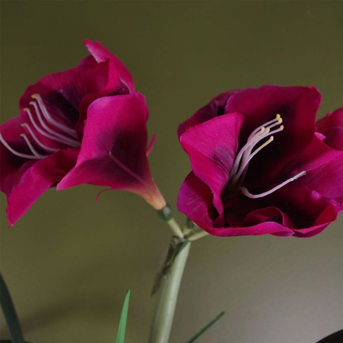 Realistic Artificial Amarylis: Pink, 5 Flowers