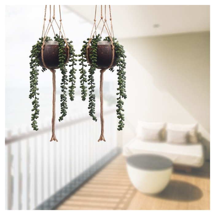 Boho Chic Coconut Shell Plant Holders - Set of 2, Macrame Hanging Ropes - Eco-Friendly, Durable