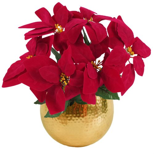 https://images.avasam.com/?url=https://avasamnew.s3.amazonaws.com/live/GB010188/S0671348483_0.jpg&w=500