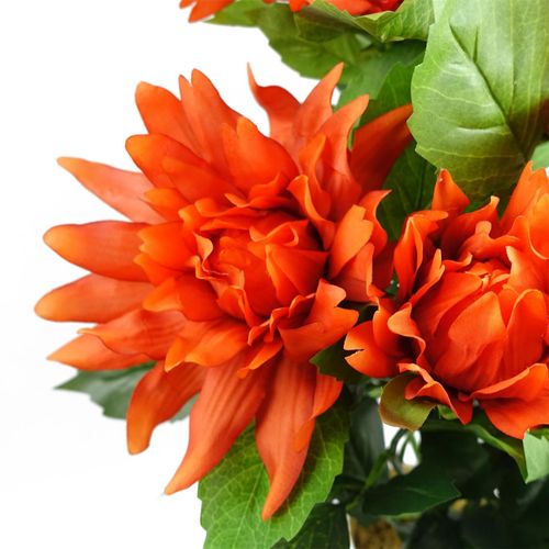 https://images.avasam.com/?url=https://avasamnew.s3.amazonaws.com/product/GB010188/S0671599762/1.png&w=500