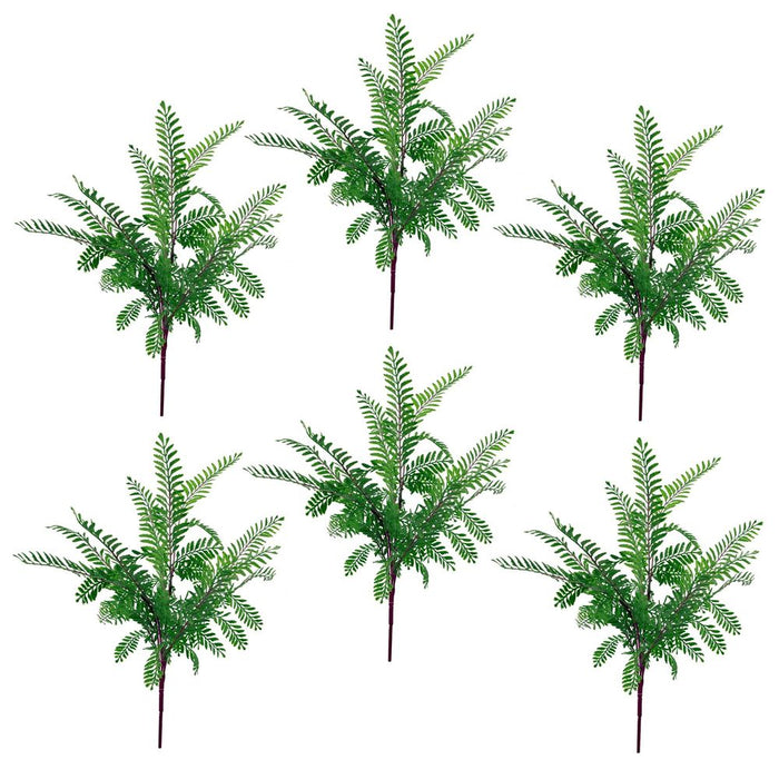 6 x 55cm Himilayan Maidenhair Fern Bush Dark Green Plant