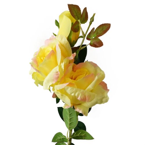 https://images.avasam.com/?url=https://avasamnew.s3.amazonaws.com/product/GB010188/S0671589098/main.png&w=500