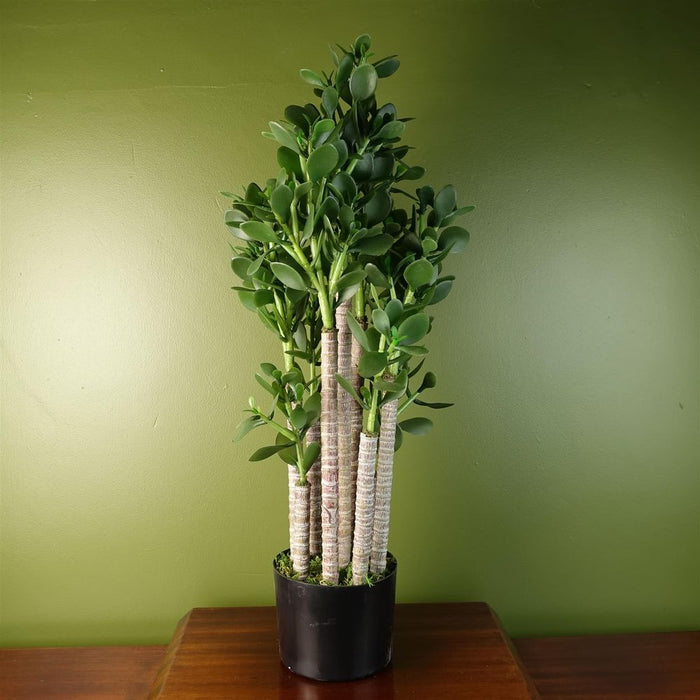 Deluxe 75cm Green Jade Plant | Artificial, Hyper-realistic, Weighted Pot | Ideal for Decorative Planters