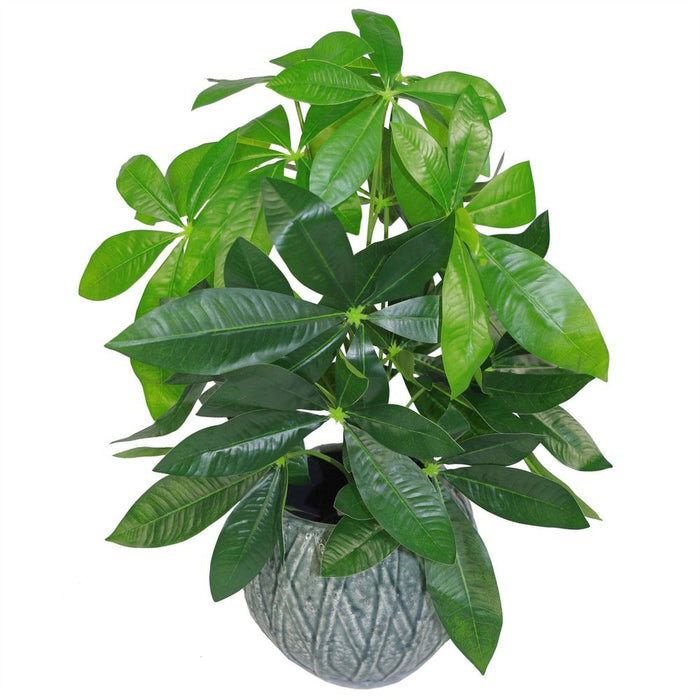 Premium 50cm Artificial Money Tree Plant - High Quality Leaf Design - Tropical Décor - Fast Shipping