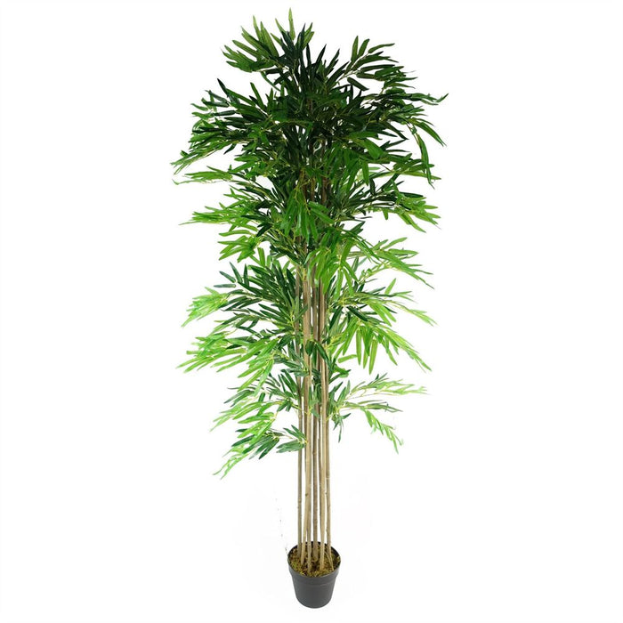 180cm Artificial Bamboo Plants - XL Size-Green - Premium Quality - Professional Seller