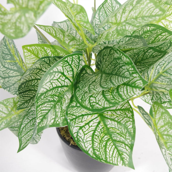 Premium 40cm Artificial Caladium Plant in Pot - Lifelike, Adjustable Stems - Enhance Your Space Today!