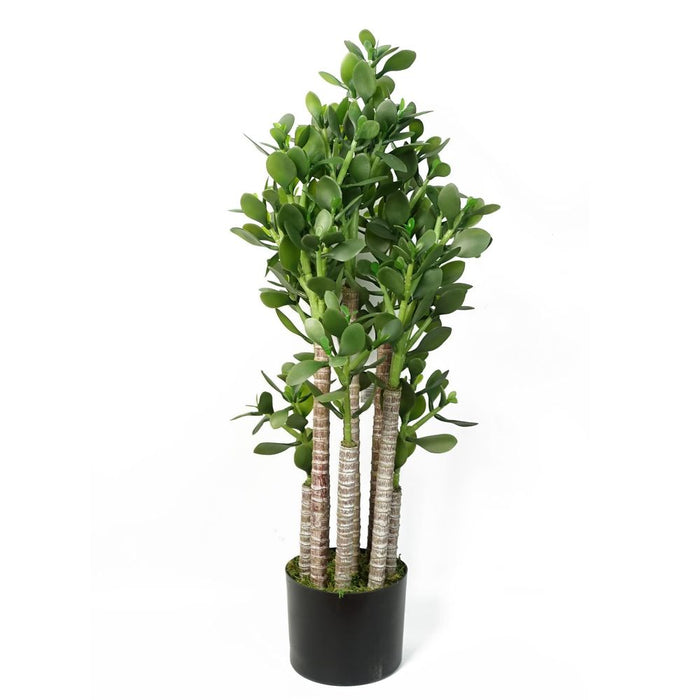 Premium Replica 75cm Green Jade Plant - Realistic and Stylish