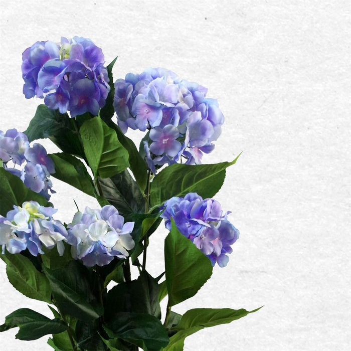 Premium Lifelike Blue Hydrangea Flowering Plant - Indoor Decor - Elegant Black Pot