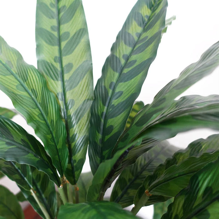 High-Quality 60cm Variegated Artificial Calathea Plant